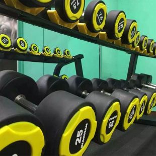 Гантельный ряд полиуретановый (22-40 кг, шаг 2 кг) Gymmaster ANA-050