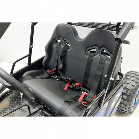 Багги GreenCamel Намиб T10 (60V 2000W R8 Дифф)